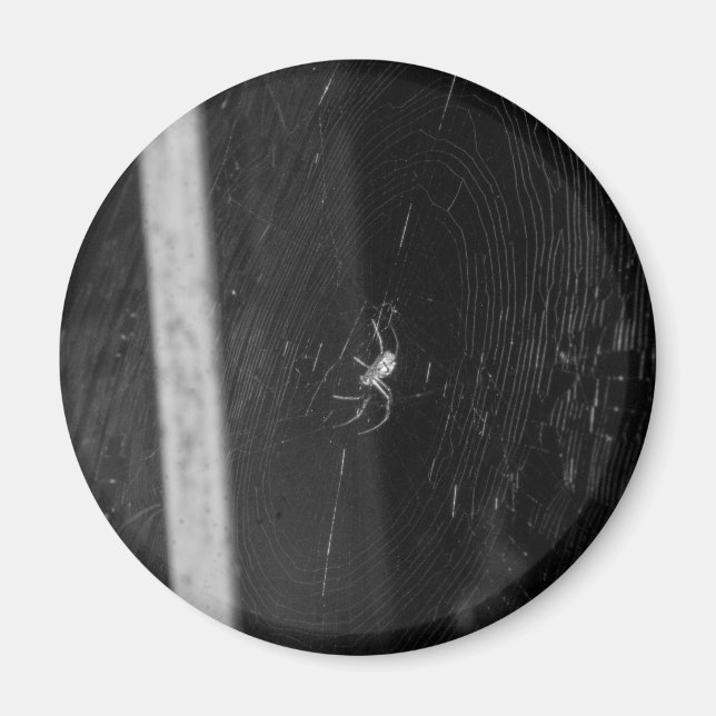 Imã Aranha de porão (Frente)