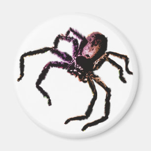 Imã Aranha do caçador