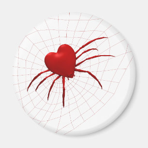 Imã Aranha Engraçado Orb-Weaver