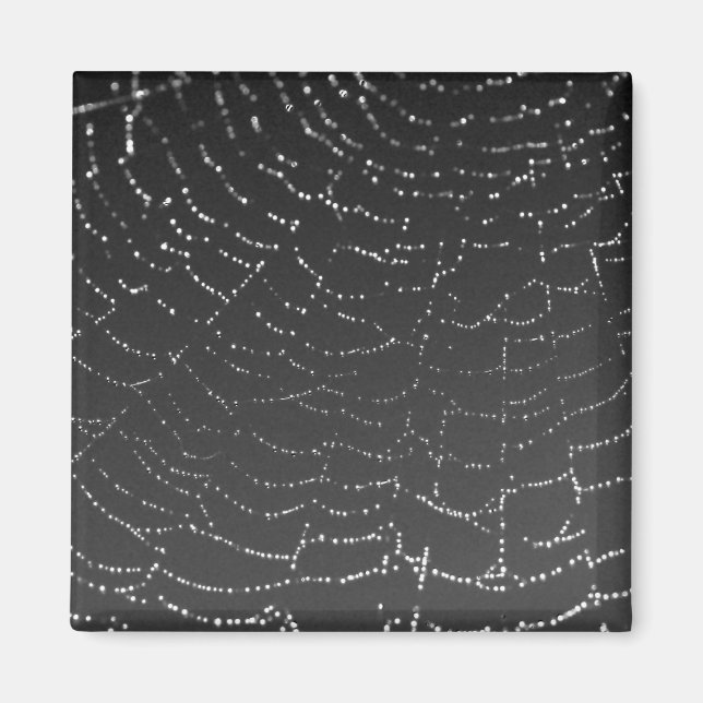 Imã Aranha Esponteada (Frente)