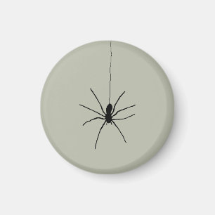 Imã Aranha-Pinta Preta sobre a Cor da Cinza da Cinza