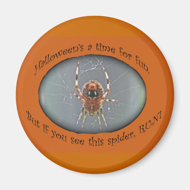 Imã Aranha Tecelã Araneus Ímã de Halloween (Frente)