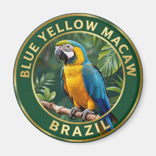 Imã 🦜 Arara Canindé Brasil Ave Tropical