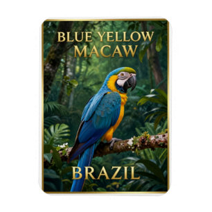 Ímã 🦜 Arara-canindé Floresta Tropical Brasileira