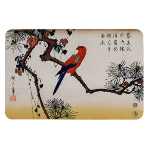 Ímã Arara no Ramo de Pinheiro, Hiroshige