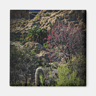 Imã Arboreto de Boyce Thompson