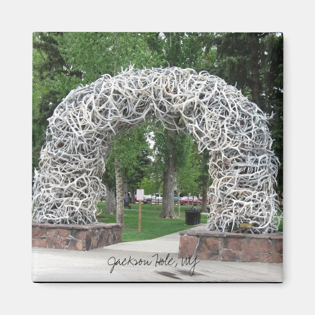 Imã Arch de Jackson Hole Antler (Frente)