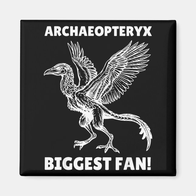 Imã Archaeopteryx  (Frente)