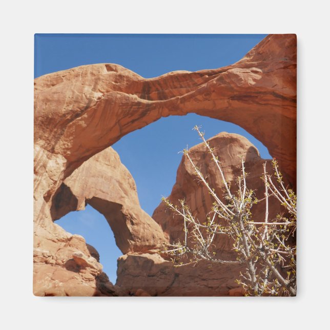 Imã Arco Duplo no Parque Nacional Arches (Frente)