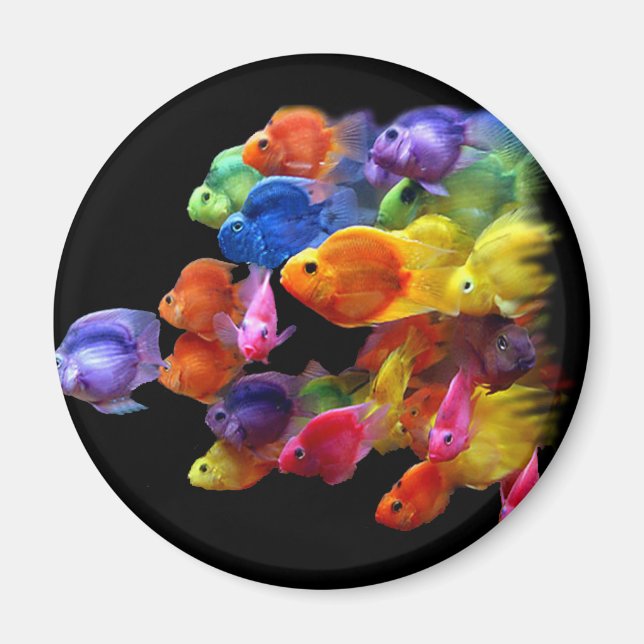 Imã Arco-íris de Parrotfish (Frente)