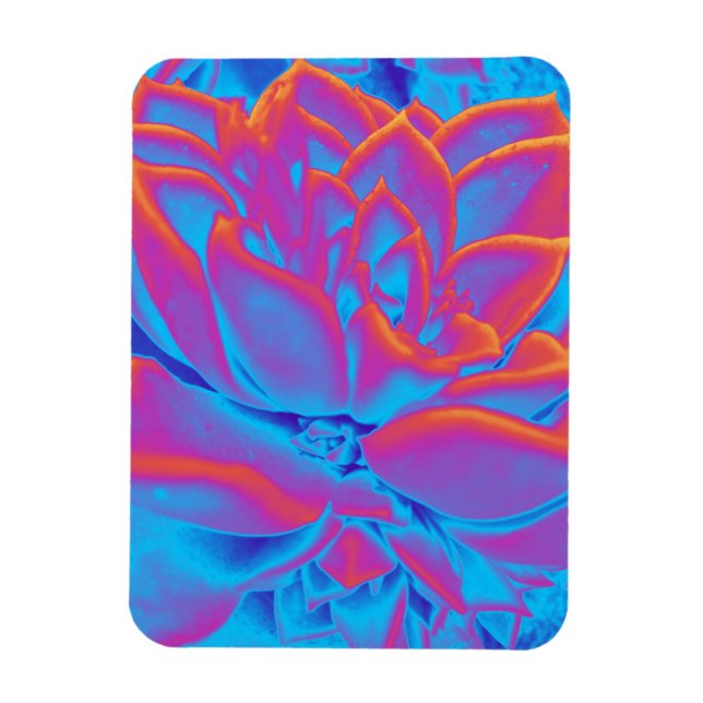 Ímã Arco-íris - Planta suculenta (Vertical)