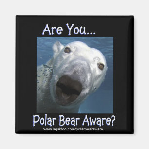 Imã Are_you_polar_bear_aware