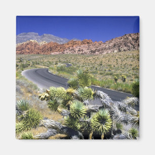 Imã Área de Conservação Nacional Red Rock Canyon, Las