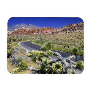 Ímã Área Nacional de Conservação do Red Rock Canyon