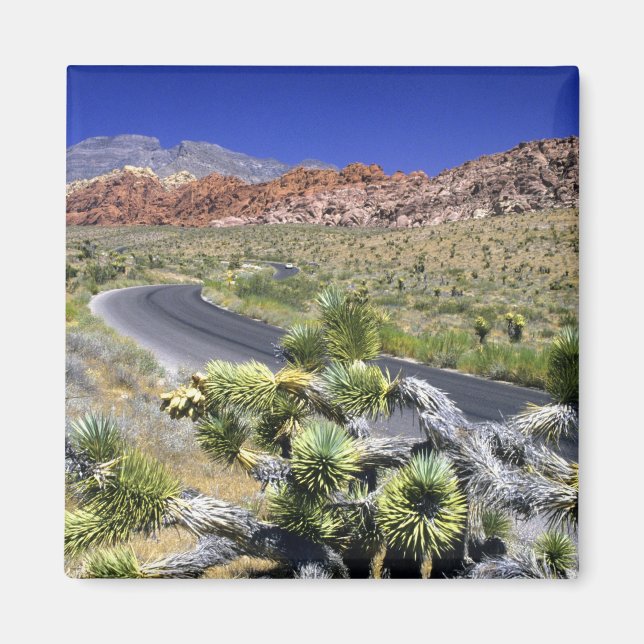 Imã Área Nacional de Conservação do Red Rock Canyon, L (Frente)