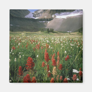 IMÃ ÁREA SILVESTRE DE MOUNT TIMPANOGOS, UT, EUA,