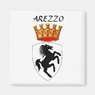Imã Arezzo casaco de armas