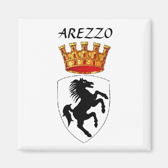 Imã Arezzo casaco de armas (Frente)