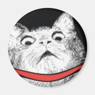 Imã Arfada surpreendida Meme do gato - ímã