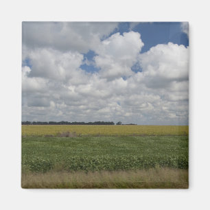 Imã Argentina, Buenos Aires, San Antonio de Areco.