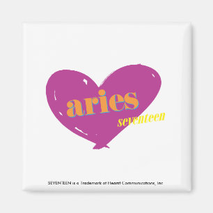 Imã Aries 2