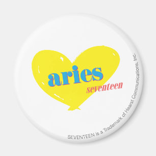 Imã Aries 3