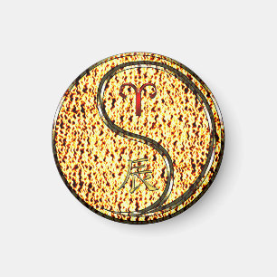 Imã Aries e Dragão de Fogo