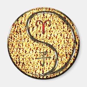 Imã Aries e Fire Rat