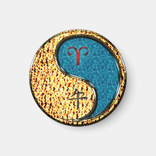Imã Aries & Water Horse