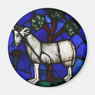 Imã Aries Zodiac StainGlass Notre-Dame de Paris Mag
