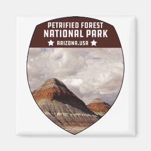 Imã Arizona do Parque Nacional da Floresta Petrificada
