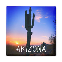 Arizona Saguaro Cactus Sunset Souvenir Viagem