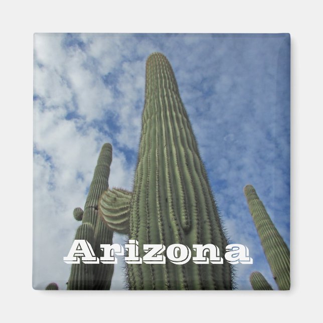 Imã Arizona Sudoeste Cactos Azul Sky Saguaro Cactus (Frente)