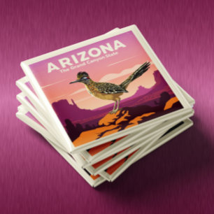 Imã Arizona Vintage