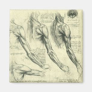Imã Arm e Anatomia do Ombro por Leonardo da Vinci