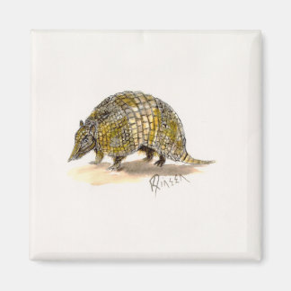 Imã Armadillo