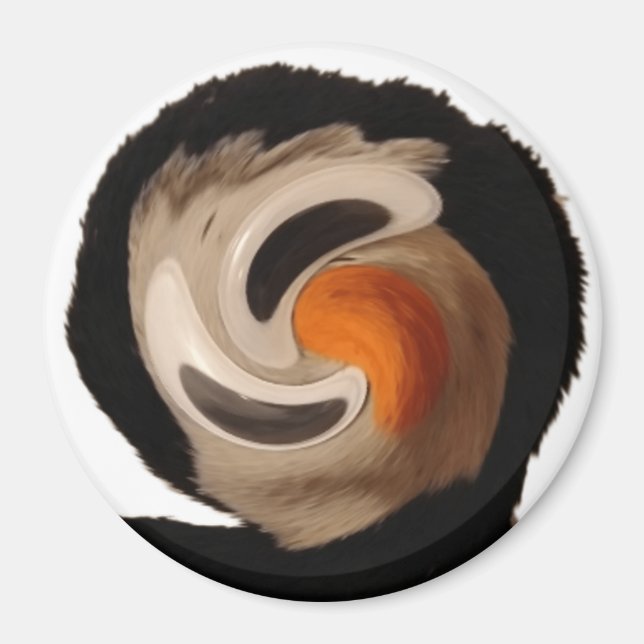 Imã Arqueiro estranho (Frente)