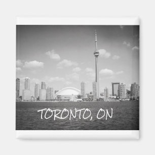 Imã Arquitectura da cidade Greyscale de Toronto