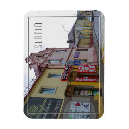 Ímã Arquitetura de visualização de cidade de Belarus S