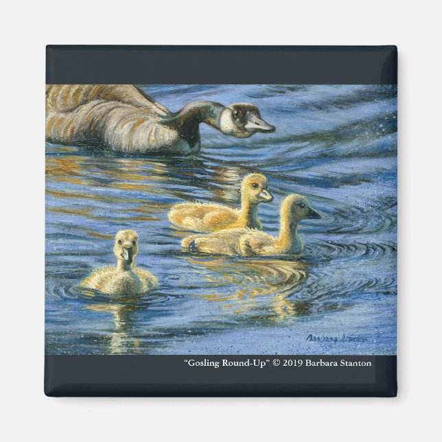 Imã "Arredondar-Se" (Frente)