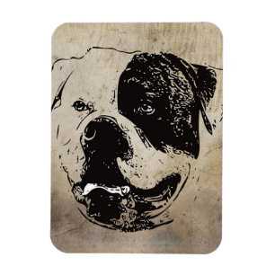 Ímã Art America Bulldog Presente De Amantes De Bulld