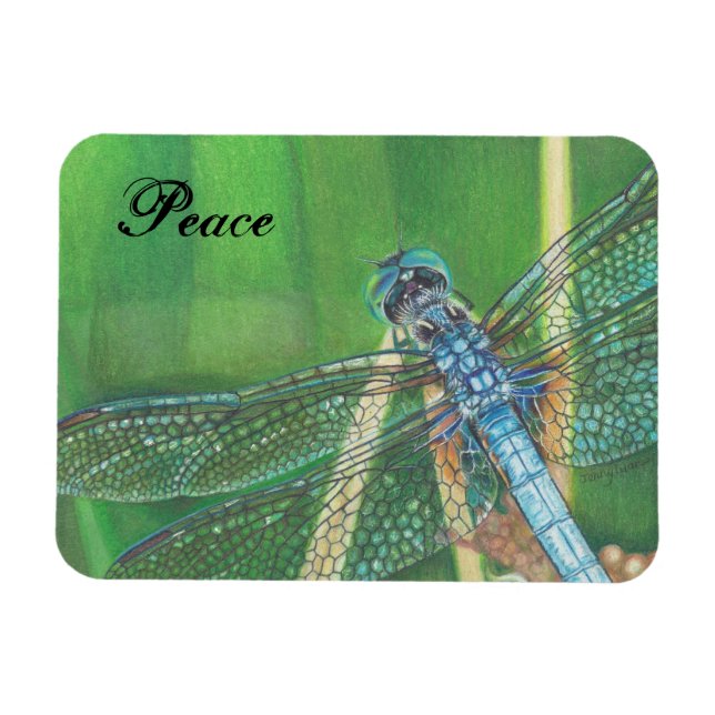 Ímã Arte a lápis a cores Blue Dragonfly no Magnet (Horizontal)