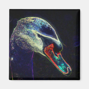 Imã Arte abstrata da natureza do cisne majestoso