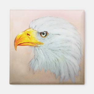 Imã Arte animal realística, ímã quadrado - Eagle