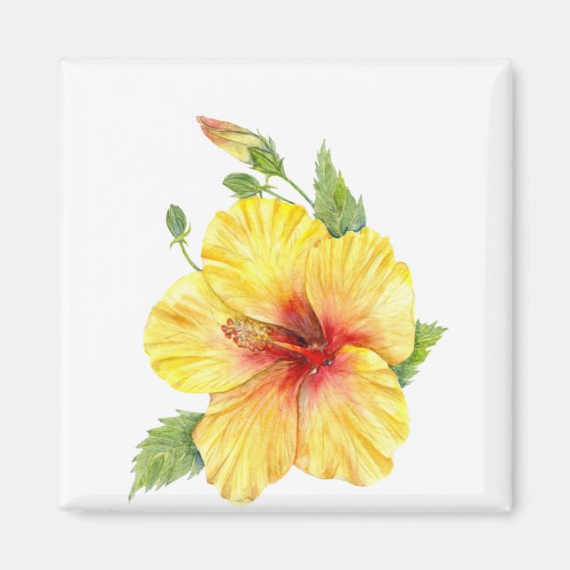 Imã Arte Botânica Yellow Hibiscus (Frente)