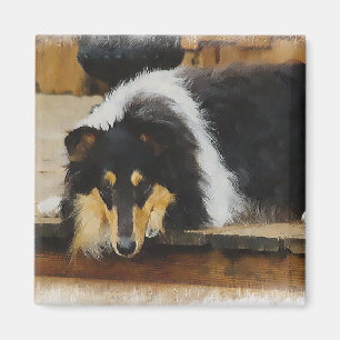 Imã Arte com Presentes Collie de três cores