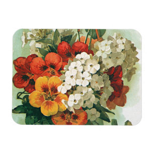 Ímã Arte da capa do catálogo de sementes da Eastman vi