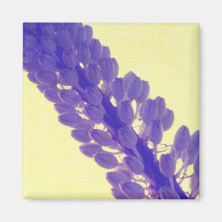 Imã Arte da flor do verão - ímã