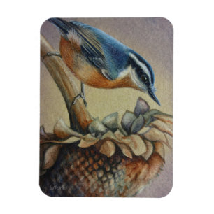 Ímã Arte de Aquarela de Aves e Girassóis