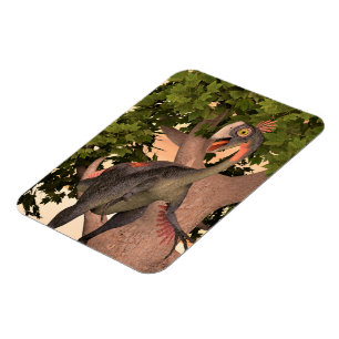 Ímã Arte de Aventura do Dinossauro Gigantoraptor para
